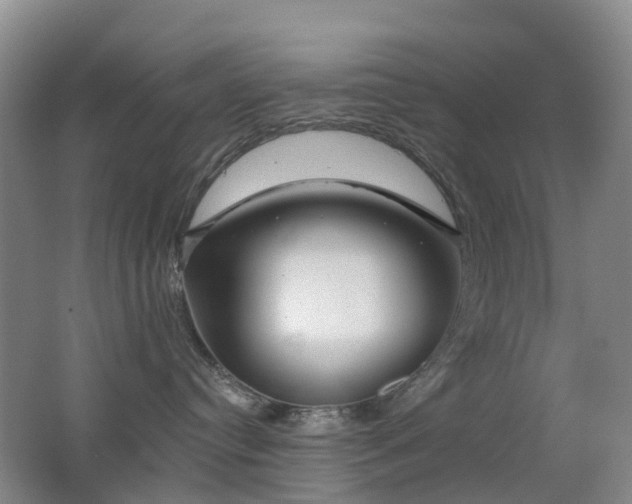 X0000062640384200512211211