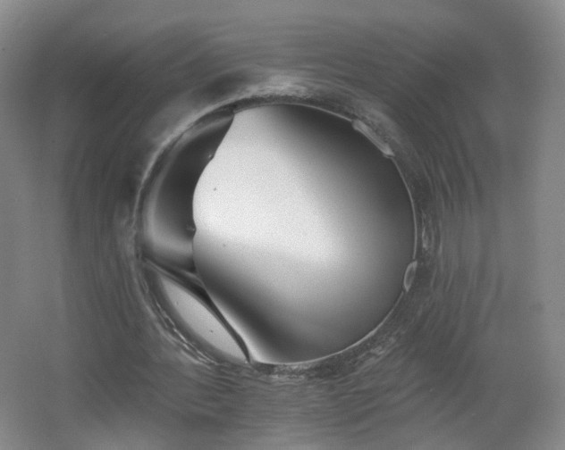 X0000062640388200512211210