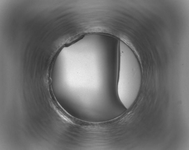 X0000062640389200512211210