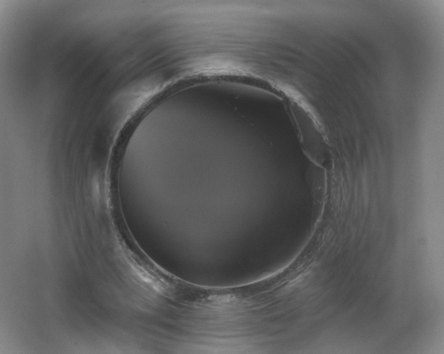 X0000062640391200512211210