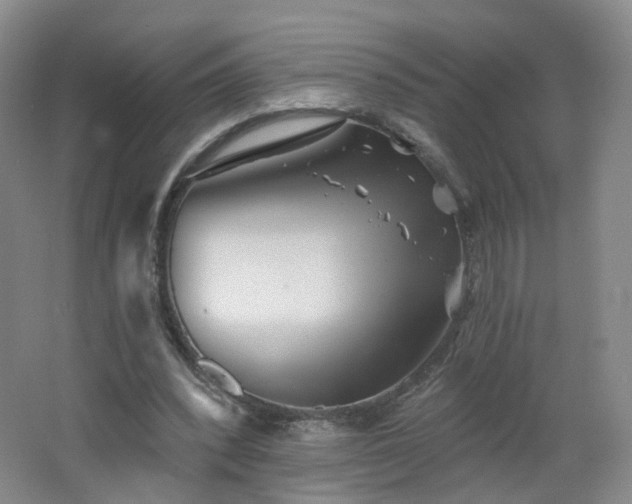 X0000062640392200512211210