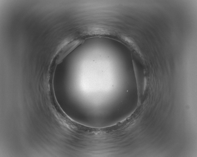 X0000062640395200512211210