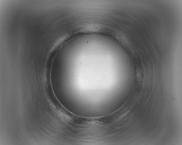 X0000062640396200512211210