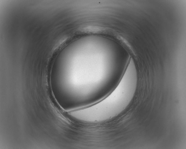 X0000062640399200512211210
