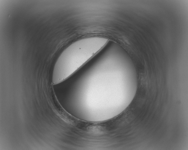 X0000062640408200512211210