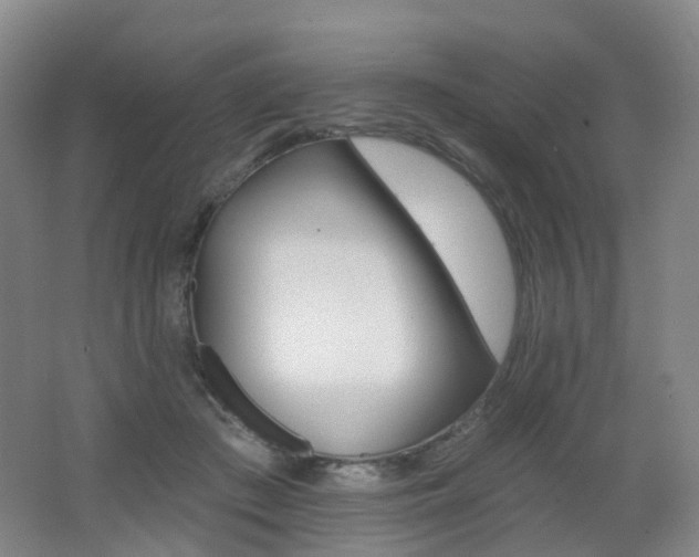 X0000062640409200512211210