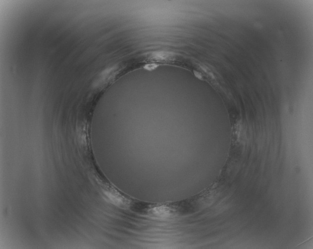 X0000062640423200512211209