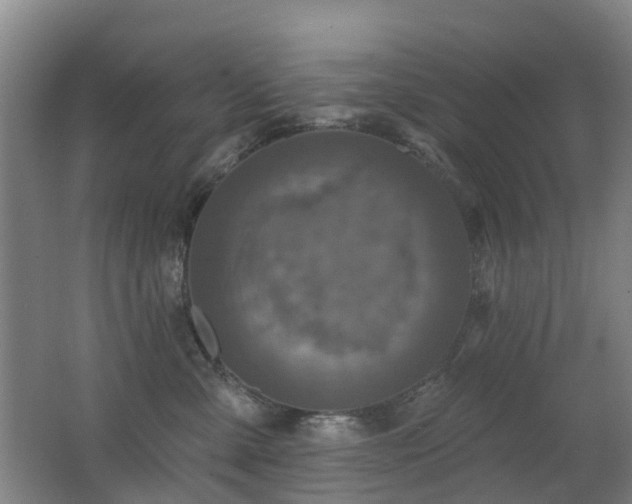 X0000062640427200512211209