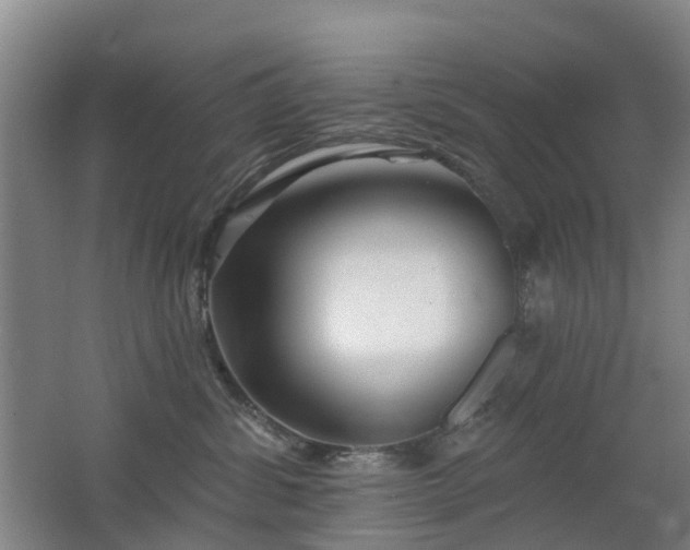 X0000062640428200512211209