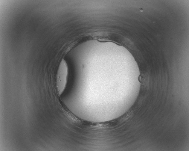 X0000062640430200512211209