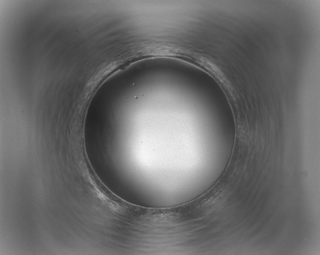 X0000062640433200512211208