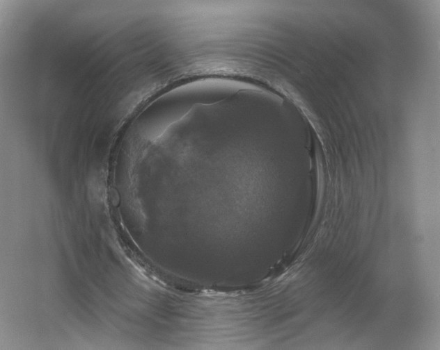 X0000062640434200512211208