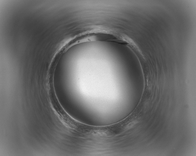 X0000062640436200512211208