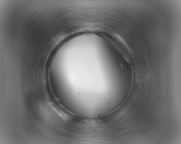 X0000062640439200512211209