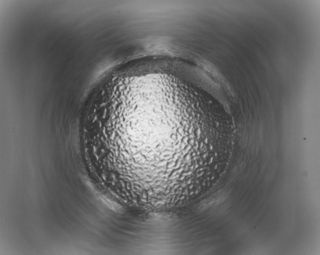X0000062640442200512211209