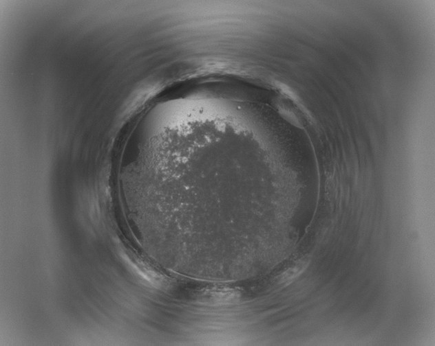X0000062640443200512211209