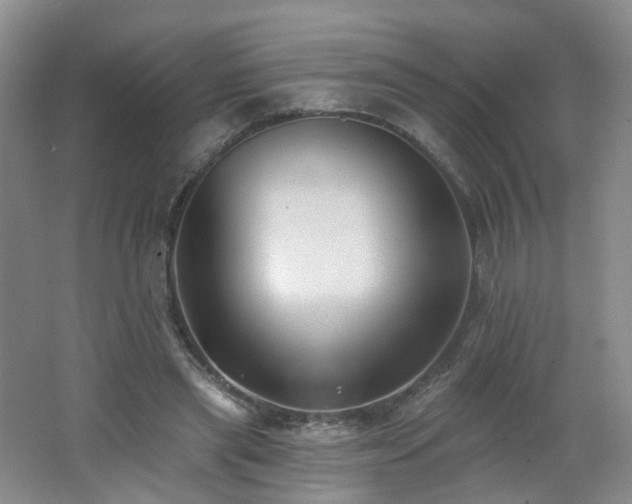 X0000062640445200512211209