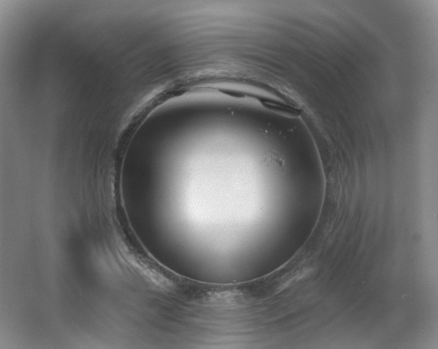 X0000062640446200512211209