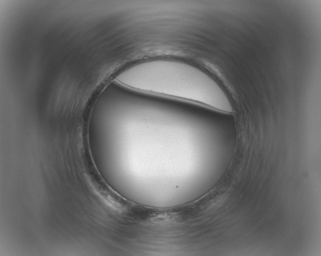 X0000062640447200512211209