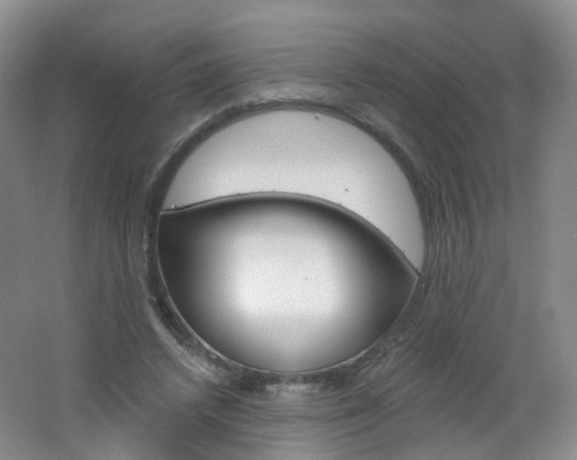 X0000062640448200512211209