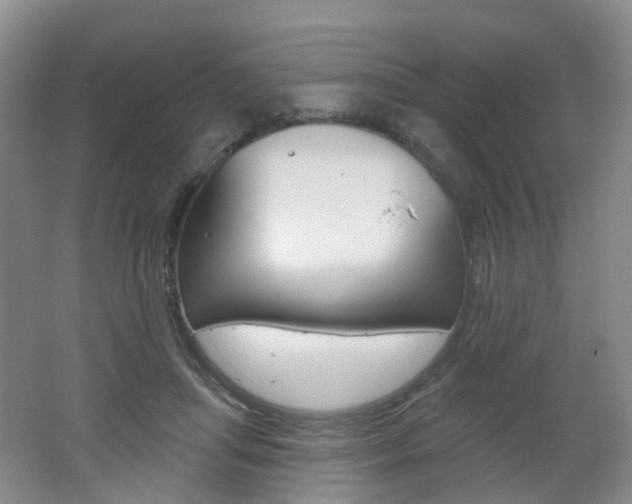 X0000062640455200512211209