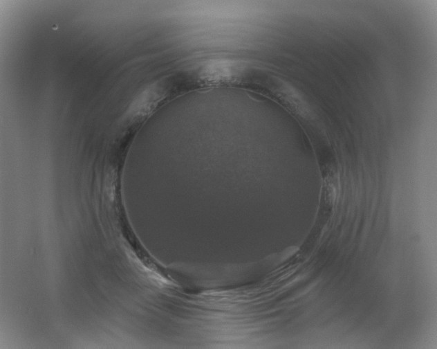X0000062640458200512211209