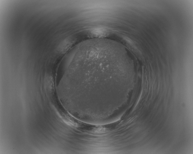 X0000062640459200512211209