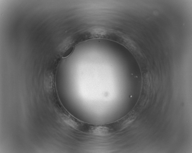 X0000062640463200512211209
