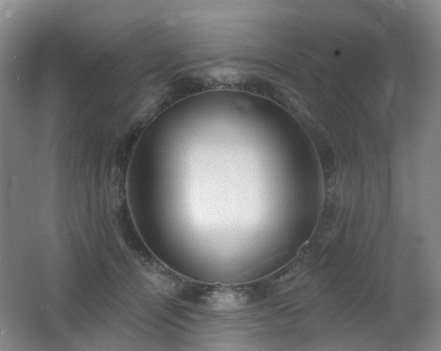 X0000062640464200512211209