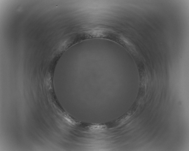 X0000062640465200512211209