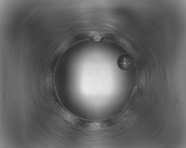 X0000062640473200512211209