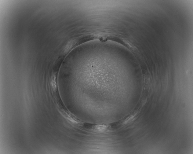 X0000062640479200512211209