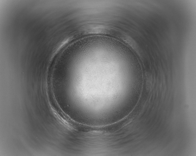 X0000062640482200512211208