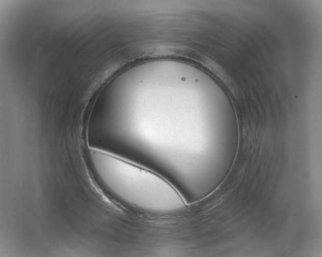X0000062640485200512211208