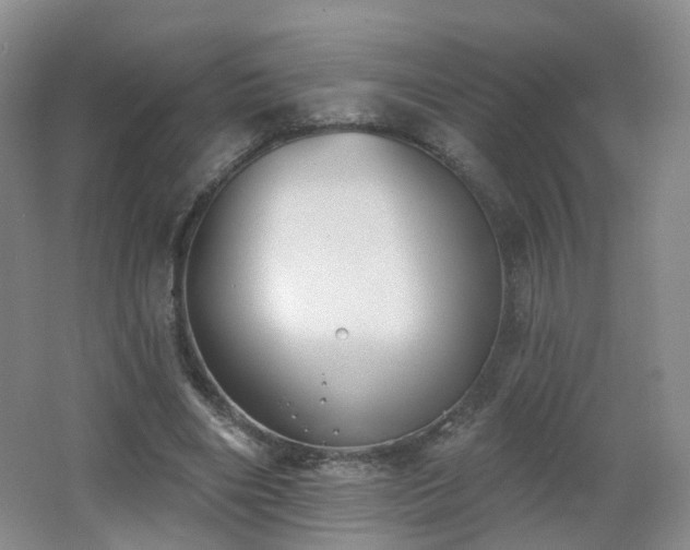X0000062640490200512211208