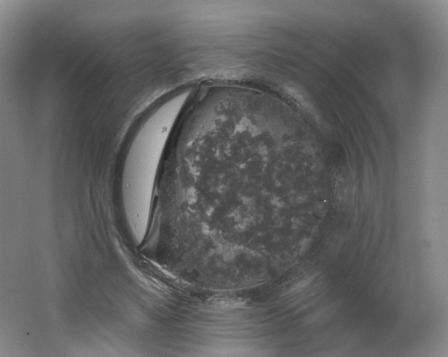X0000062640491200512211208