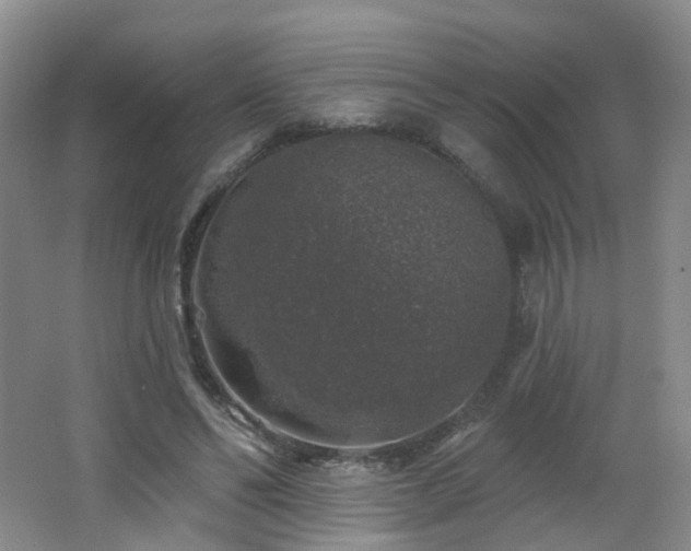 X0000062640494200512211208