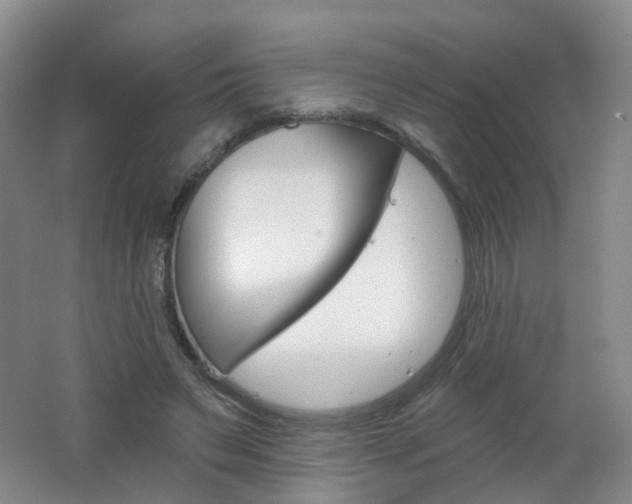 X0000062640495200512211208