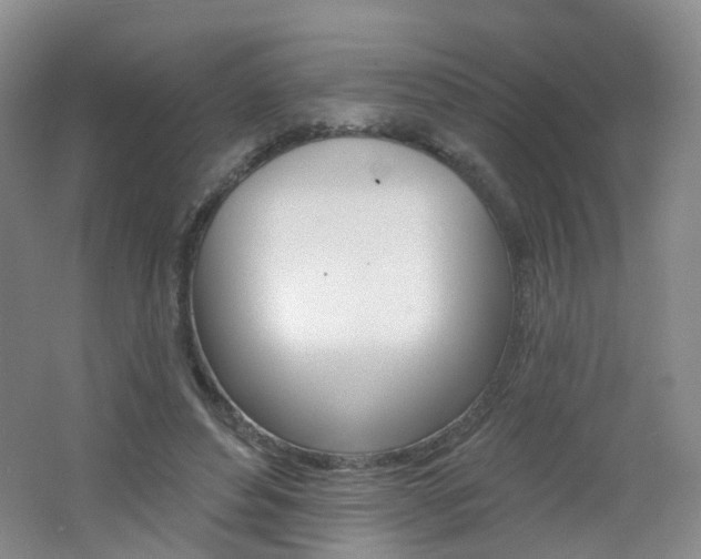 X0000062640496200512211208
