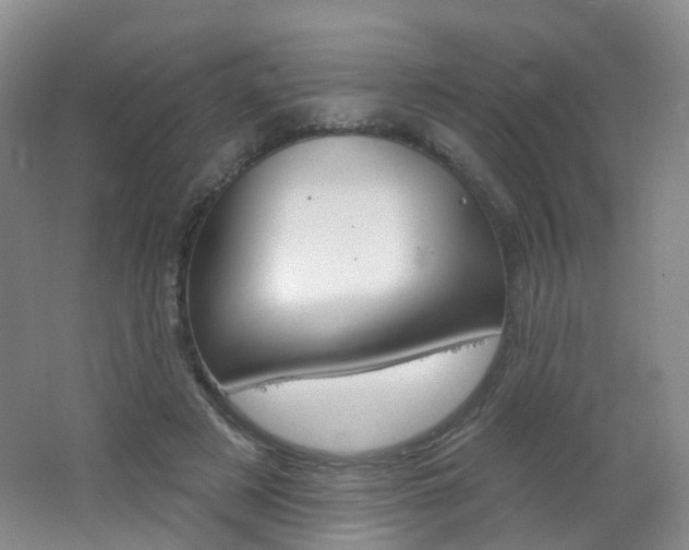 X0000062640497200512211208