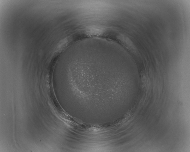 X0000062640498200512211208