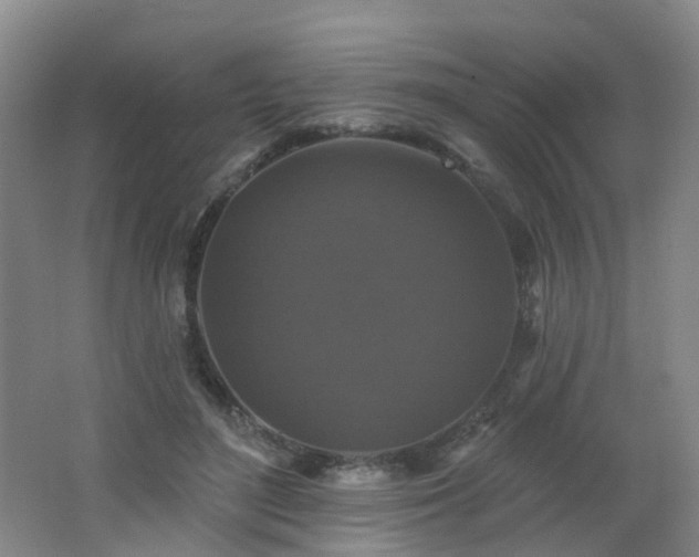 X0000062640500200512211208