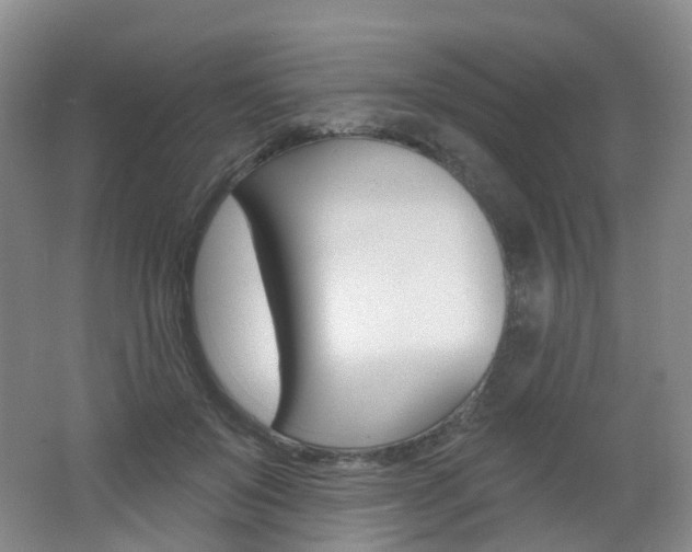 X0000062640503200512211208