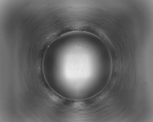 X0000062640505200512211208