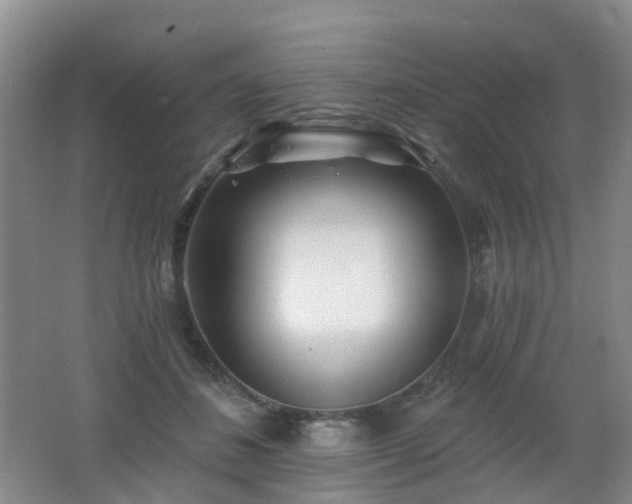 X0000062640508200512211208
