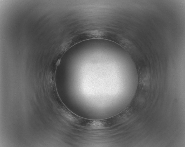 X0000062640518200512211208
