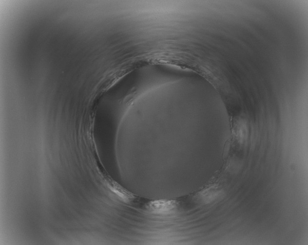 X0000062640526200512211208