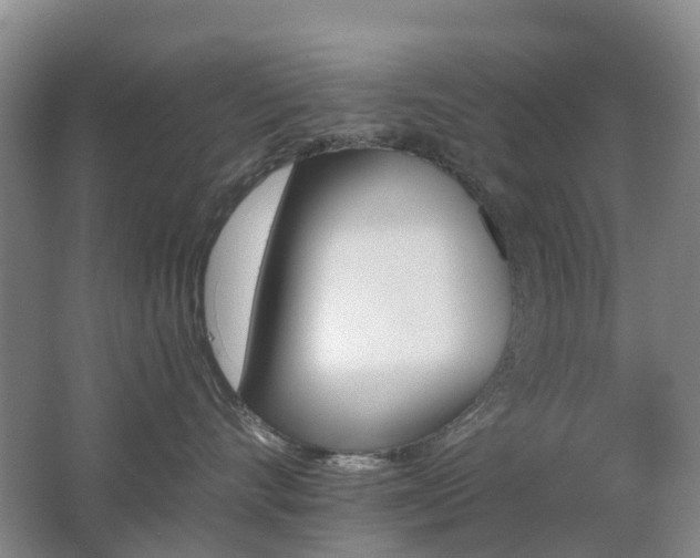 X0000062640528200512211207
