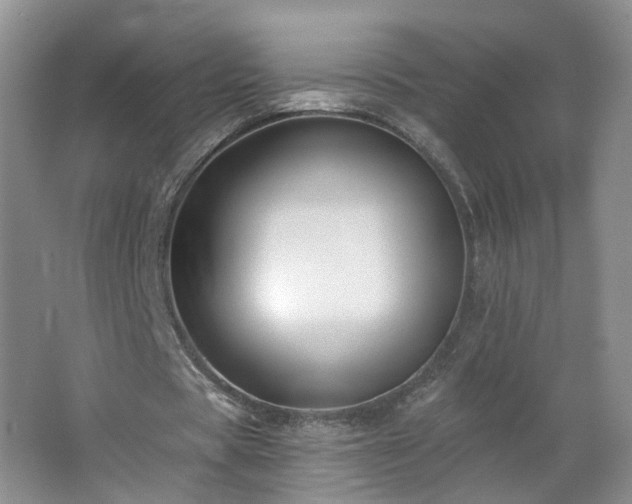 X0000062640529200512211206