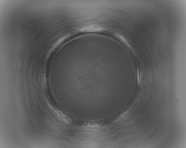 X0000062640531200512211206